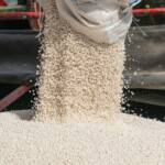 Tensões no Oriente Médio elevam custos dos fertilizantes e pressionam planejamento da safra 2026/2027