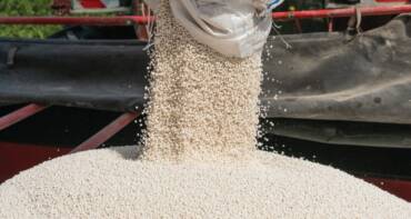Tensões no Oriente Médio elevam custos dos fertilizantes e pressionam planejamento da safra 2026 2027