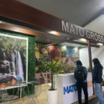 Mato Grosso cria Rota dos Primatas e expande turismo de observação na Amazônia