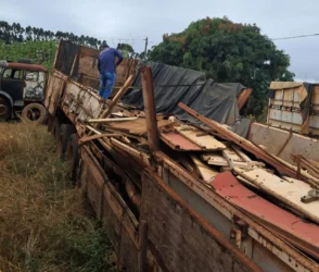 Vigilância Ambiental de Sorriso