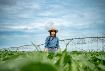 Soja sustentável rende R$ 6 milhões em bônus e impulsiona agricultura regenerativa em Mato Grosso