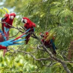 Turismo registra alta de 9,2% nos gastos de estrangeiros no Brasil