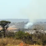 ArborizaCidades vai destinar R$ 19 milhões para ampliar áreas verdes urbanas