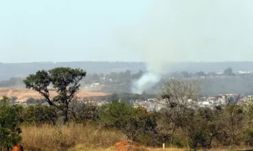 ArborizaCidades vai destinar R$ 19 milhões para ampliar áreas verdes urbanas