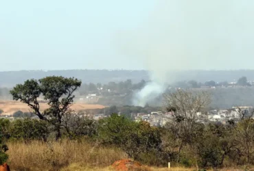 ArborizaCidades vai destinar R$ 19 milhões para ampliar áreas verdes urbanas