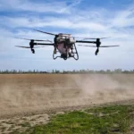 Agronegócio projeta 449 mil empregos em Mato Grosso e movimenta economia urbana