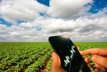 Mato Grosso vira peça-chave da China no agro — veja como isso passa pelas fazendas do SNFZ11