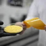 Revestimento com óleo de rícino e argila mineral aumenta eficiência da ureia, apontam pesquisadores