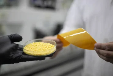 Revestimento com óleo de rícino e argila mineral aumenta eficiência da ureia, apontam pesquisadores
