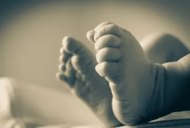 Bebê