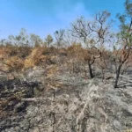 Mudanças climáticas já afetam 85% dos brasileiros, aponta pesquisa