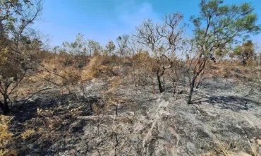 Mudanças climáticas já afetam 85% dos brasileiros, aponta pesquisa