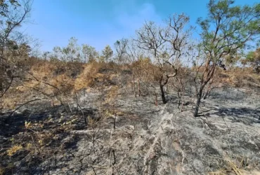 Mudanças climáticas já afetam 85% dos brasileiros, aponta pesquisa