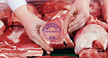 Exportações de carne bovina batem recorde e Brasil amplia presença no mercado internacional