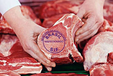 Exportações de carne bovina batem recorde e Brasil amplia presença no mercado internacional