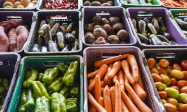 Inca amplia campanha para ajudar pacientes com alimentação saudável