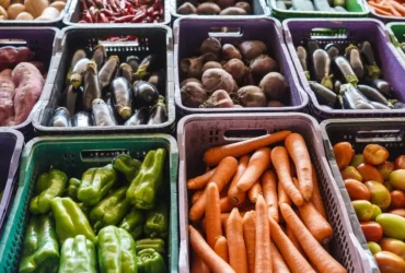 Inca amplia campanha para ajudar pacientes com alimentação saudável