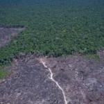 COP30 debate soluções para combustíveis fósseis e desmatamento ilegal