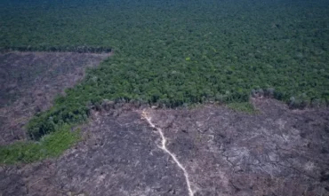 COP30 debate soluções para combustíveis fósseis e desmatamento ilegal