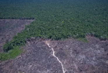 COP30 debate soluções para combustíveis fósseis e desmatamento ilegal
