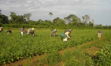Prêmio destaca agricultura familiar e inovação climática