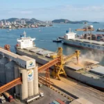 Recorde na soja: Por que a China trocou os EUA pelo Brasil e o que muda agora