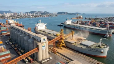 Exportacao soja china