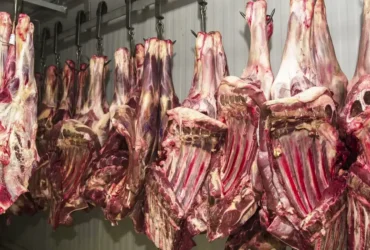 Frigoríficos brasileiros têm exportações suspensas pela China após irregularidades