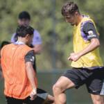Atlético-MG x Mirassol: onde assistir, escalações e tudo sobre o duelo decisivo pelo Brasileirão