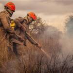Cuiabá lança plano contra desmatamento e incêndios em MT