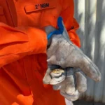 Corpo de Bombeiros captura jararaca em residência no interior de MT