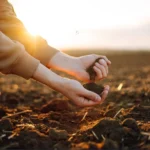 MPF e Justiça Federal realizam vistoria técnica para acelerar reforma agrária no norte de Mato Grosso