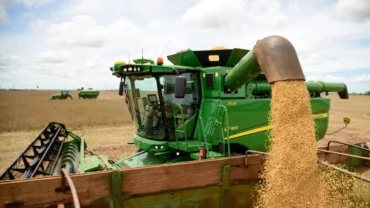 Colheita de soja em Mato Grosso atinge recorde histórico na safra 2025/26; Estado mantém liderança nacional há mais de duas décadas.