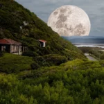 Previsões astrológicas: 6 signos que iniciam a semana com energias renovadas nesta segunda (25/05)