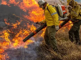 Incêndios recebem R$ 337 milhões para reforçar combate e fiscalização ambiental