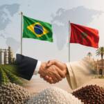 Brasil e Marrocos avançam na Copa, mas parceria no agro movimenta bilhões e fortalece a produção de alimentos