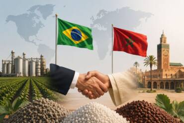 Brasil e Marrocos avançam na Copa, mas parceria no agro movimenta bilhões e fortalece a produção de alimentos