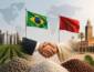 Brasil e Marrocos avançam na Copa, mas parceria no agro movimenta bilhões e fortalece a produção de alimentos