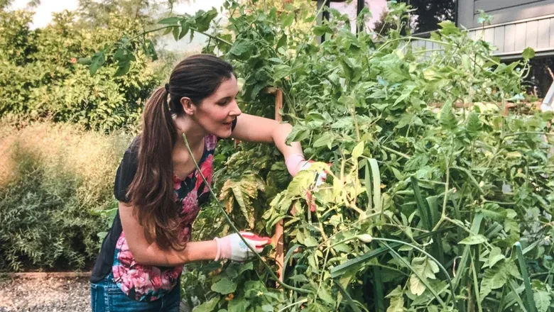Jardinagem: os 3 signos do zodíaco que fazem qualquer planta prosperar