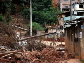 Auxílio beneficia quase 5 mil famílias afetadas pelas chuvas em Juiz de Fora e Ubá