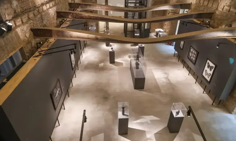 Museu Nacional inaugura exposição inédita em comemoração aos 208 anos