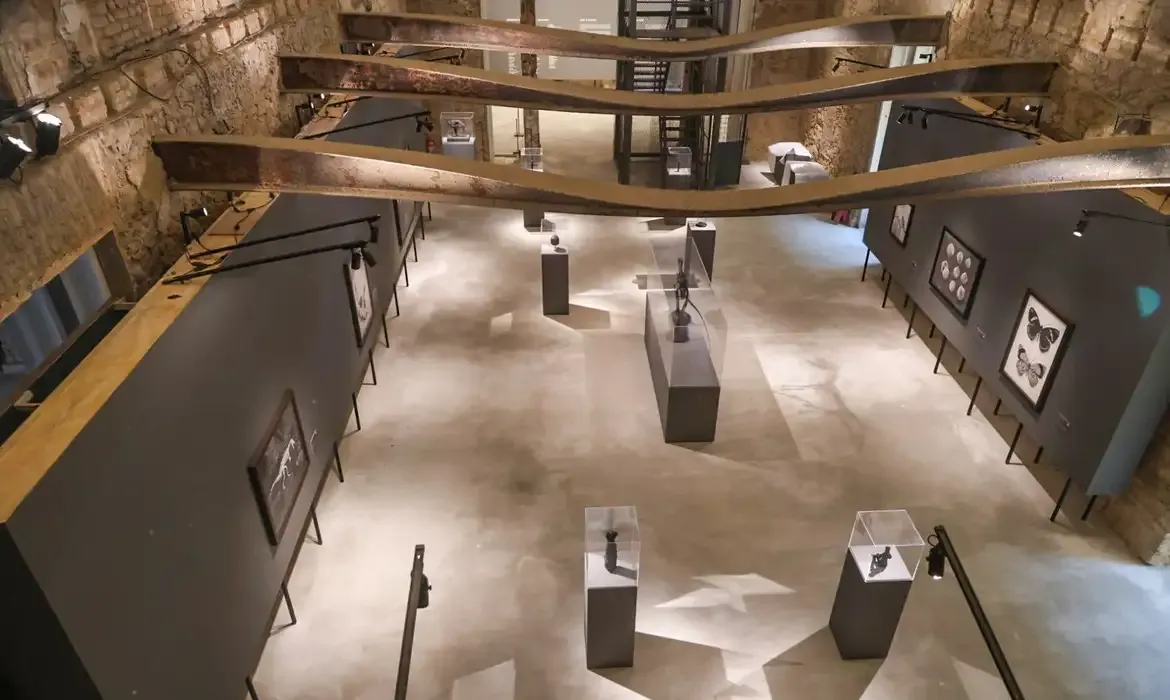 Museu Nacional inaugura exposição inédita em comemoração aos 208 anos