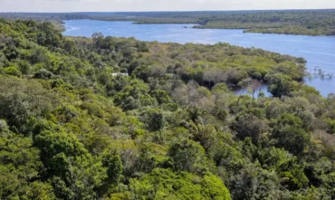 Fundo Amazônia quadruplica ritmo de aprovações e amplia impacto na Amazônia