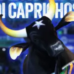 Festival de Parintins 2026: Caprichoso conquista o título após três noites de disputa