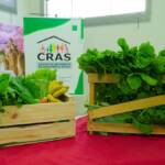 Debate sobre assistência social gera troca de críticas entre vereadores em Lucas do Rio Verde