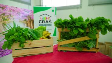 cesta de alimentos da agricultura familiar