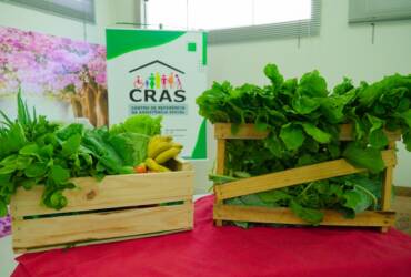 cesta de alimentos da agricultura familiar