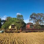 Produção indígena ganha reforço com entrega de mini colheitadeira e sementes em Mato Grosso