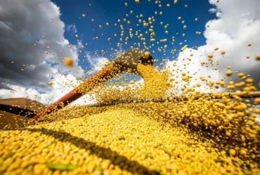 Grãos: produção brasileira pode chegar a recorde em 2025/26