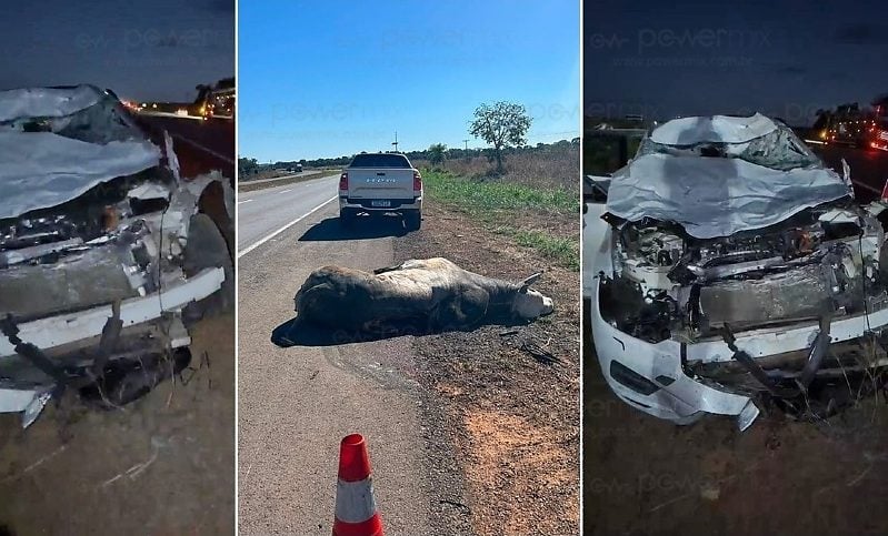 Médico bate em touro na BR-163, próximo a Nova Mutum, e escapa com ferimentos leves

